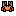 Raw Crab